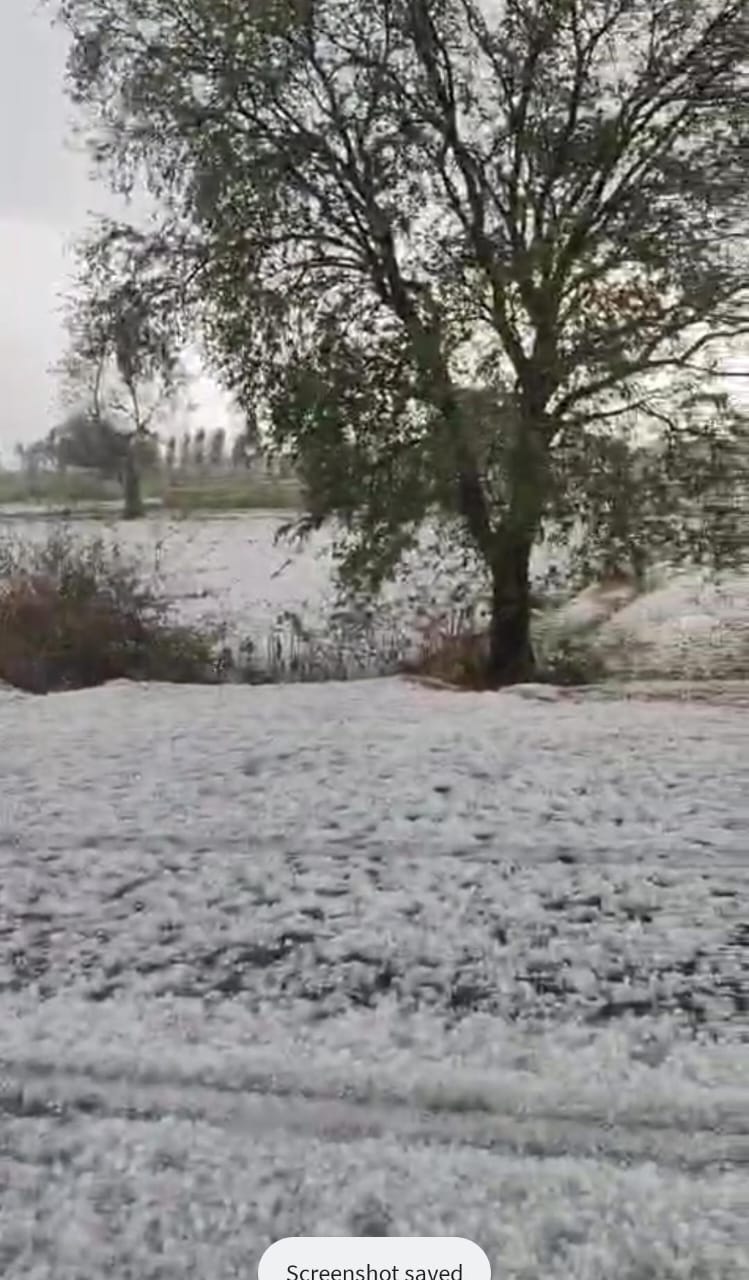 गौरेला पेंड्रा मरवाही में जमकर हुई बारिश ,ओलावृष्टि और तेज हवाओ से मौसम का मिजाज बदला